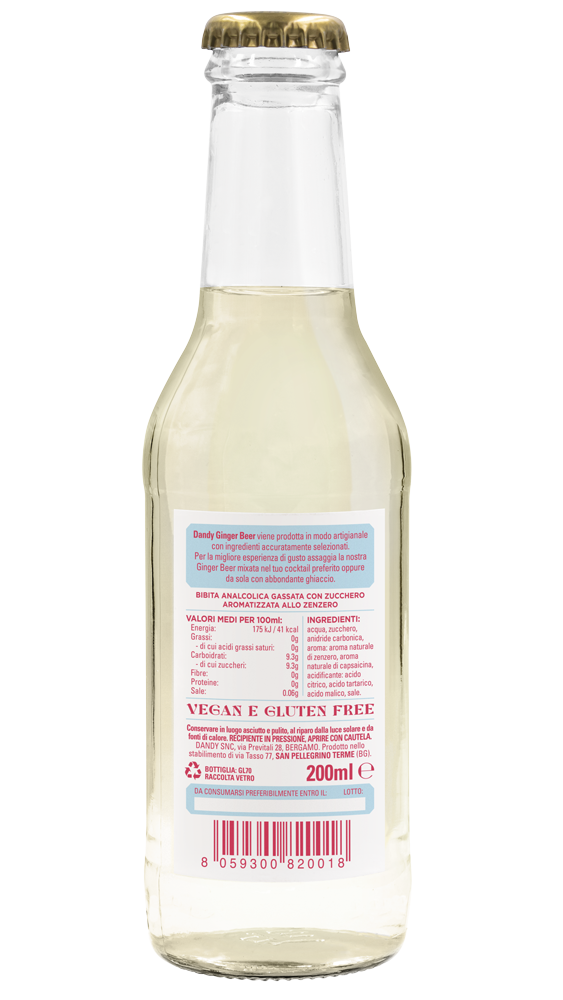 Ginger Beer - Cassa 24 pcs