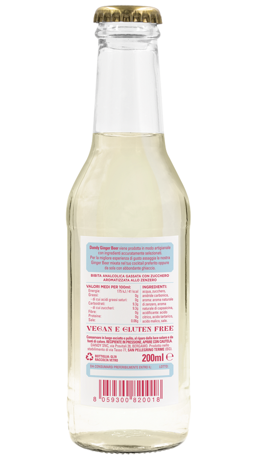 Ginger Beer - Cassa 24 pcs